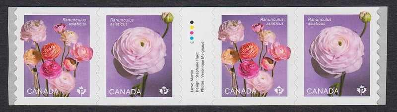 GUTTER strip of 4 stamps = RANUNCULUS and PERSIAN BUTTERCUP Canada 2023 MNH Ranunculus