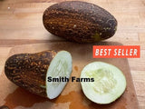 15+ Seeds Sikkim Cucumber Easy Vegetable Garden Planting Edible Garden Plants