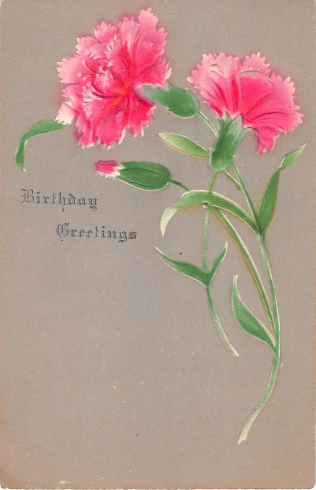 Pretty Pink Carnations on Old Airbrushed Birthday Postcard Carnation