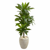 4' Artificial Dracaena Plant in Sand Colored Planter (Real Touch) Green Plant
