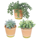 3 Pcs Artificial Succulent Plants Potted False Succulent Plants Potted Faux P... Green Plant