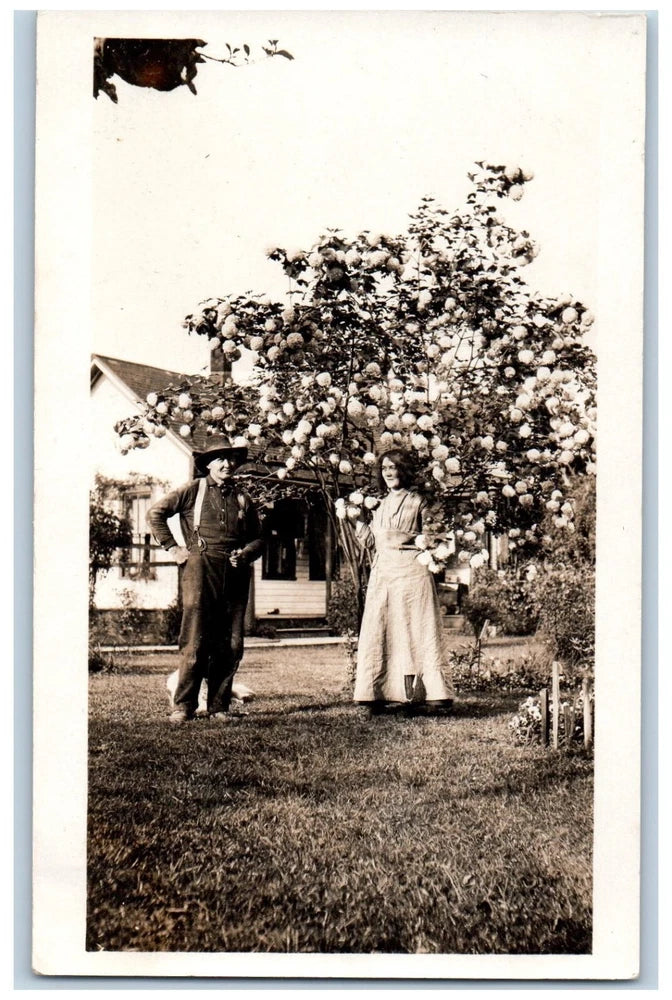 Pretty Woman Postcard RPPC Photo Hydrangea Bush Flowers c1910's Unposted Antique Hydrangea