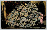 Florida Hydrangeas Little Girl in Pink Picking Flowers FL c1910 Postcard Hydrangea