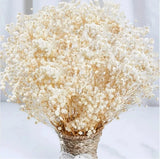 4000+ Dried Babys Breath Flowers Bulk - 17" Ivory White Dried Flower