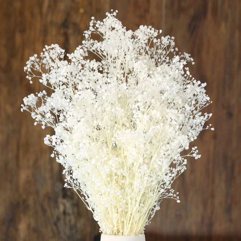 Dried baby's breath bouquet, airy white blooms on bundled stems