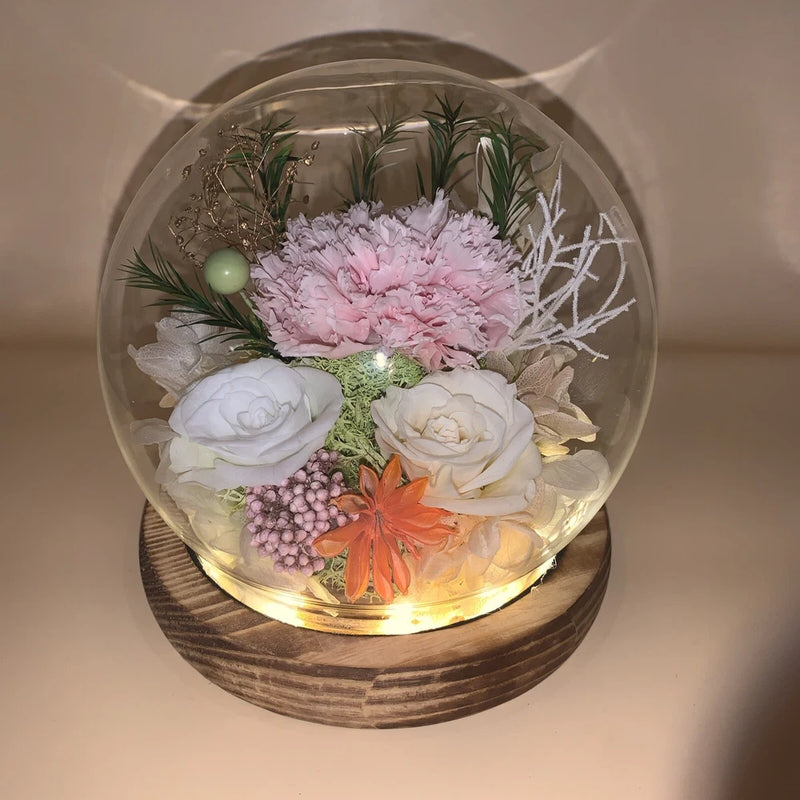 Roses Gifts for Her, Forever Preserved Flowers Carnation, Roses Fast Ship Carnation
