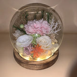 Roses Gifts for Her, Forever Preserved Flowers Carnation, Roses Fast Ship Carnation