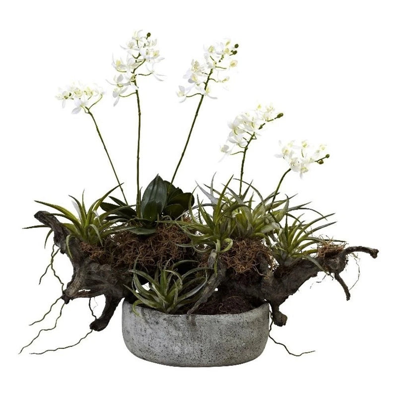 Pemberly Row Orchid & Succulent Garden with Driftwood & Decorative Vase Green Plant