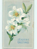 Divided-Back BEAUTIFUL EASTER LILY FLOWERS : make an offer o5797 Lily