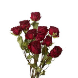 TooGet Natural Dried Flowers Bouquet, 10 Pcs Red Roses Bouquet for Dried Flower
