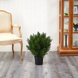 2Õ Cedar Topiary Artificial Tree UV (Indoor/Outdoor) Home Decor. Retail $96 Green Plant