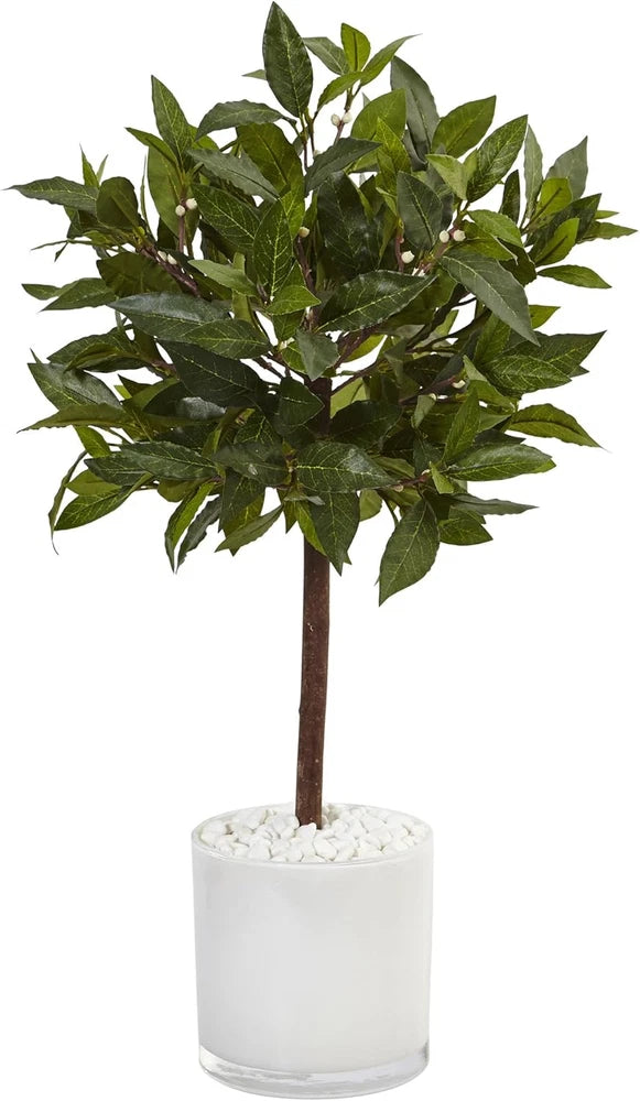 2Ft. Sweet Bay Artificial Tree in White Glossy Cylinder Green Plant