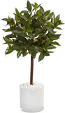 2Ft. Sweet Bay Artificial Tree in White Glossy Cylinder Green Plant