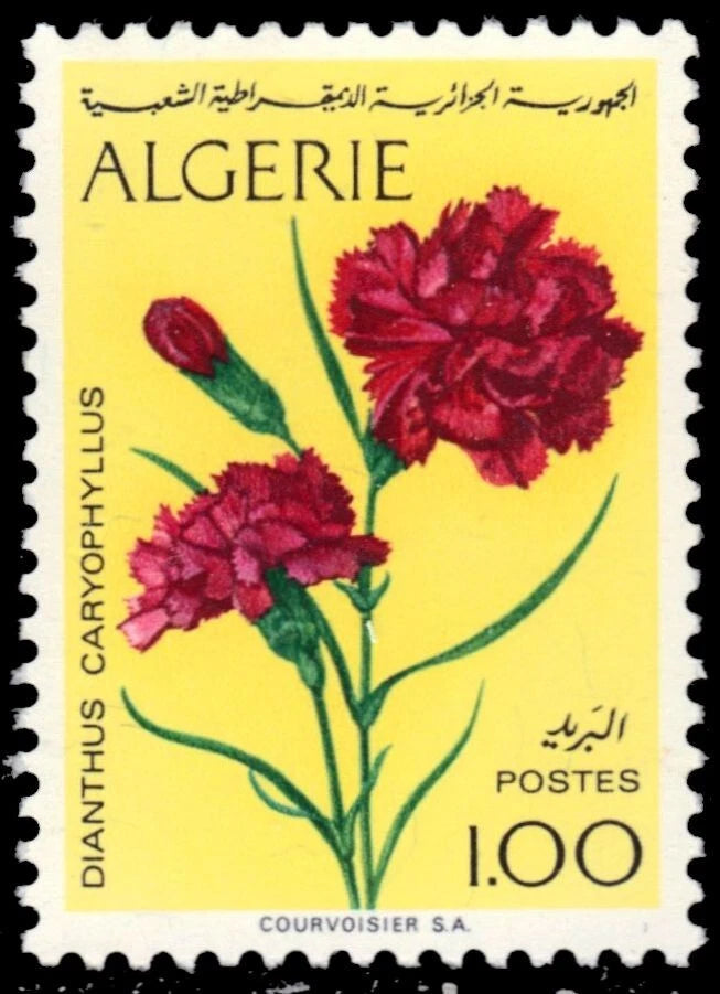 Carnation flower postage stamp with red flowers on pale yellow, Algeria 1.00