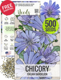 Chicory Seeds for Planting Heirloom Open Pollinated Wildflower Non-GMO Garden Garden Plants