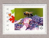 BEE on HYDRANGEA FLOWER = Picture Postage stamp MNH Canada 2016 [p16/02sn14] Hydrangea