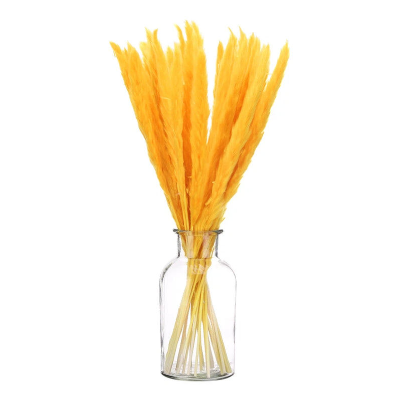 Orange Pampas Grass Decor,  30PCS 17 Inch(Length) Pampas Grass Bundle Pampas Grass