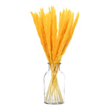 Orange Pampas Grass Decor,  30PCS 17 Inch(Length) Pampas Grass Bundle Pampas Grass