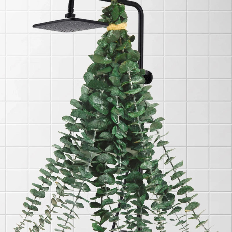 Dried eucalyptus stems bundle with dense green leaf branches