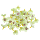 50Pcs 0.79" Artificial Silk Daisy Flower Heads Fake Flowers for DIY, Green Daisies