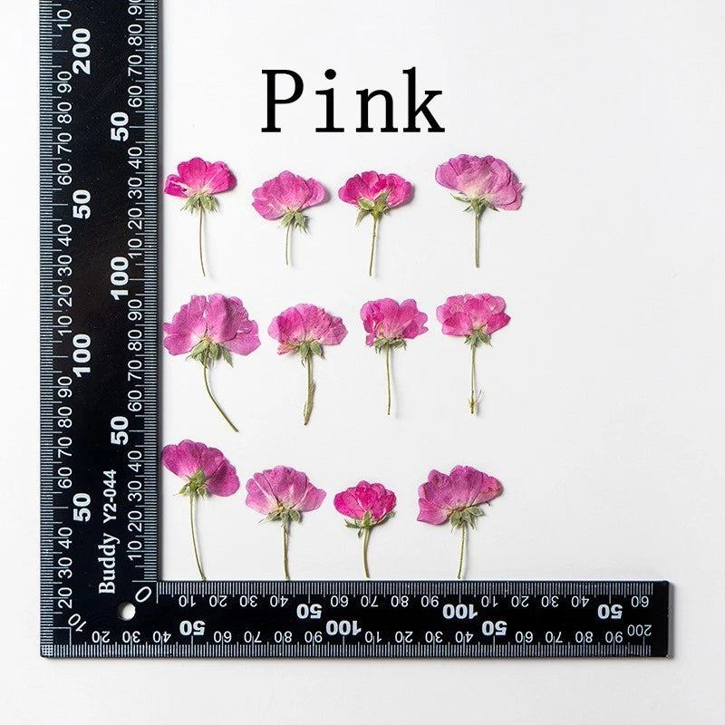 Set of 12 pink pressed dried rose flowers on stems, various sizes for crafts and decor