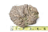 NessaStores- Rose Of Jericho 3"-4" Resurrection Plant (1 pc) #JC-164 Flowering Plants