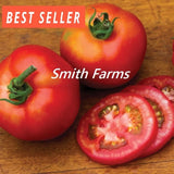 50+ Seeds Summer Girl Tomato Hybrid Juicy Easy to Grow Vegetable Garden Planting Garden Plants