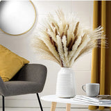 60PC Pampas Grass Decor 15PCS White 15PCS Brown 30PCS Reed 17" Tall Lot of 2 Pampas Grass