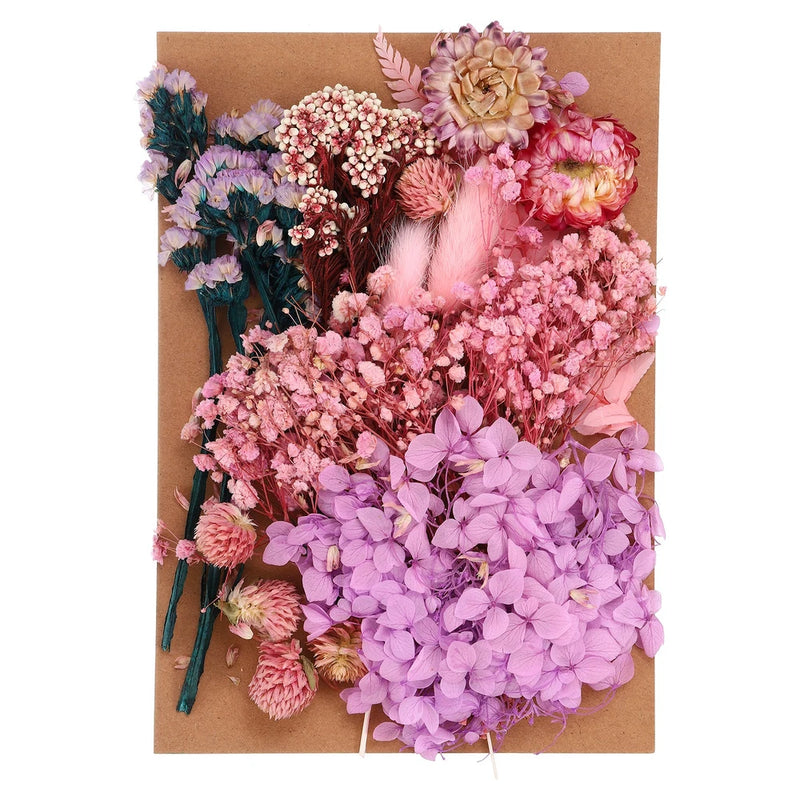 Pressed Flowers Bulk Dried Flowers Natural Pressed Flowers Leaves Purple Style Dried Flower
