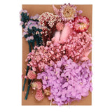 Pressed Flowers Bulk Dried Flowers Natural Pressed Flowers Leaves Purple Style Dried Flower