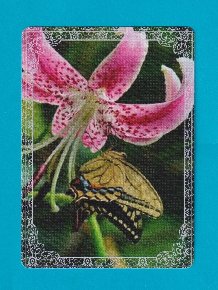 Art card featuring butterfly and lily with lace-trim border