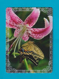 Butterflies  on Lily Flower  - Modern Wide Linen Swap P/Card Lace Edge Lily