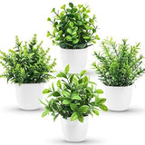 Paquete de 4 peque–as plantas falsas mini plantas artificiales con macetas Green Plant