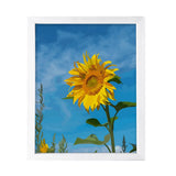 Designs ByLITA Midday Sunflower, Wall Print Art | Beautiful Flowers Sunflower