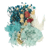 NaturalÊDriedÊFlowerÊSet,ÊDriedÊPressedÊFlowers (Blue+Purple) Dried Flower