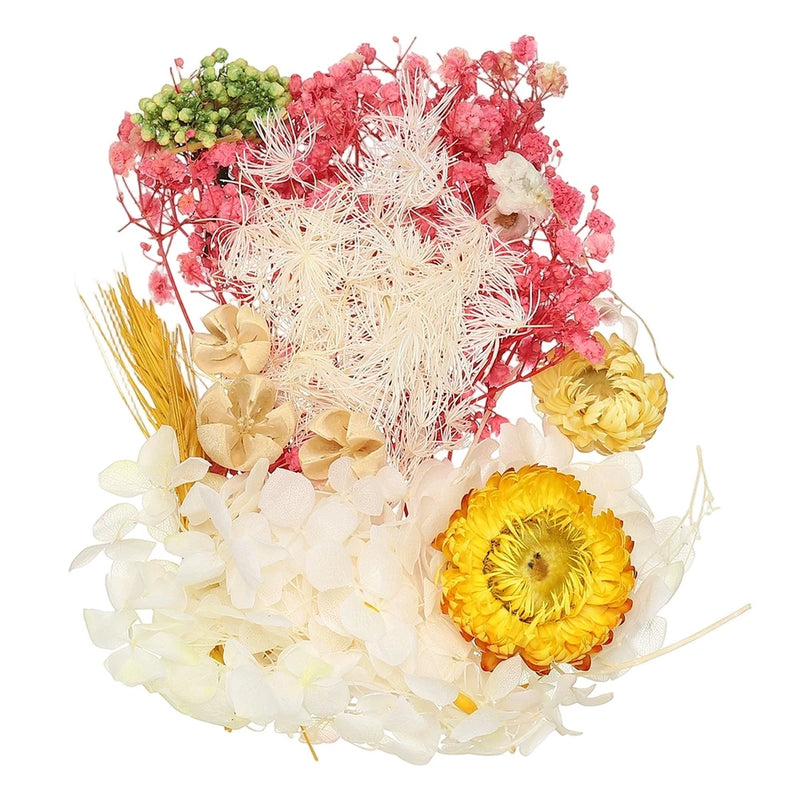 NaturalÊDriedÊFlowerÊSet,ÊDriedÊPressedÊFlowers (White+Rose Red) Dried Flower