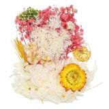 NaturalÊDriedÊFlowerÊSet,ÊDriedÊPressedÊFlowers (White+Rose Red) Dried Flower