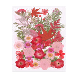 48 Pcs Dried Pressed Flower Leaves Bulk for Resin, Pink Colors Dried Flower