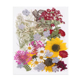 50 Pcs Dried Pressed Flower Leaves Bulk for Resin, Autumn Sunflowers Dried Flower