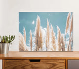 White Pampas Grass with Blue Sky 5mm thick Plastic Poster Ready to Hang 60x45cm Pampas Grass