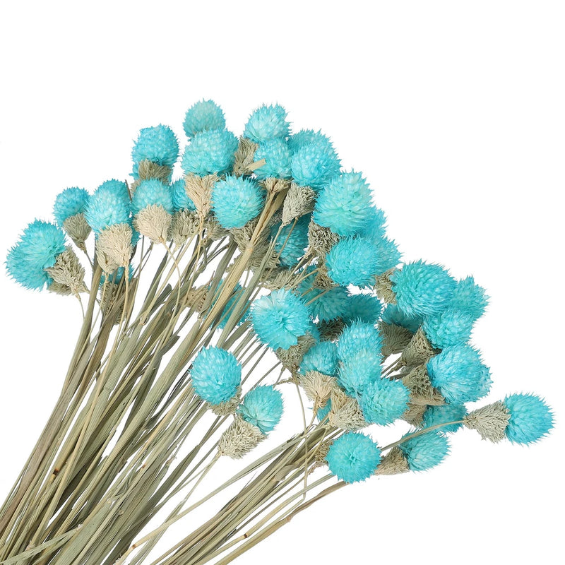 60 Pcs 16 Inch Dried Flowers for Vase Mini Pine Ball Flowers Sky Blue Dried Flower