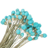 60 Pcs 16 Inch Dried Flowers for Vase Mini Pine Ball Flowers Sky Blue Dried Flower
