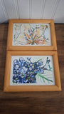Two Framed Hand Drawn Geometric Flowers Lily Hydrangea 4x6 Boho Hydrangea