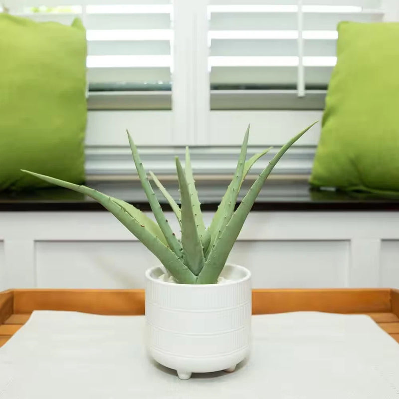 10 In. Artificial Artificial Aloe in 5 In. Artificial Barcode Footed Ceramic Pot Green Plant