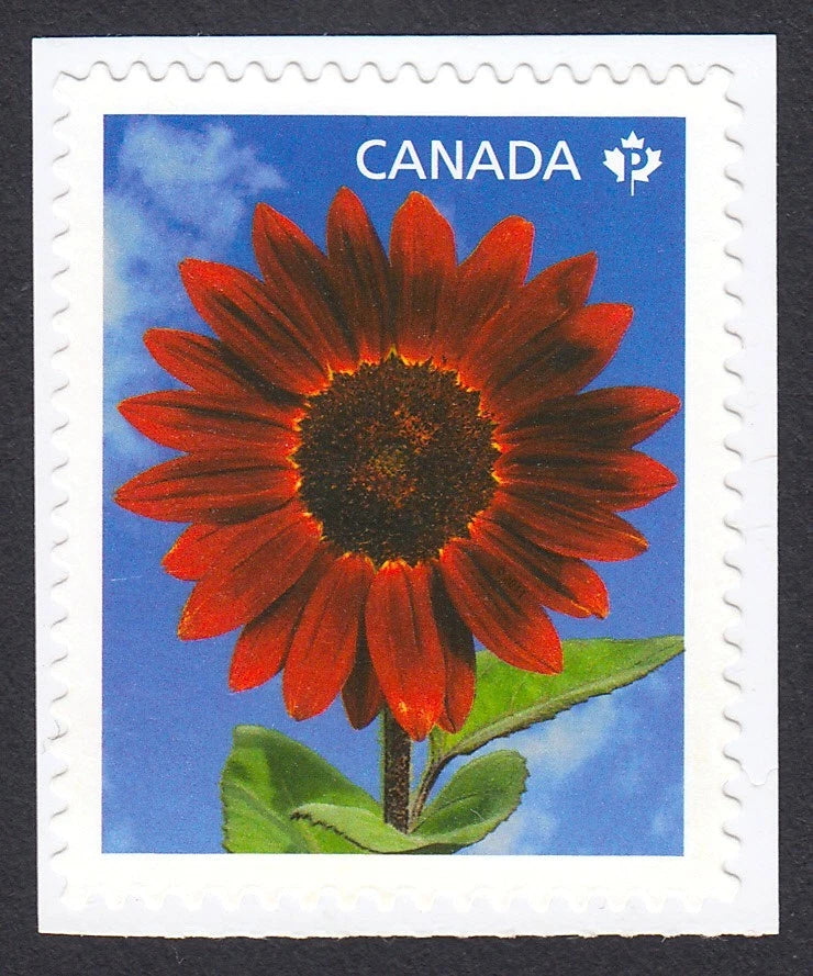 RED SUNFLOWER * Canada 2011 #2443 MNH Stamp from BOOKLET Sunflower