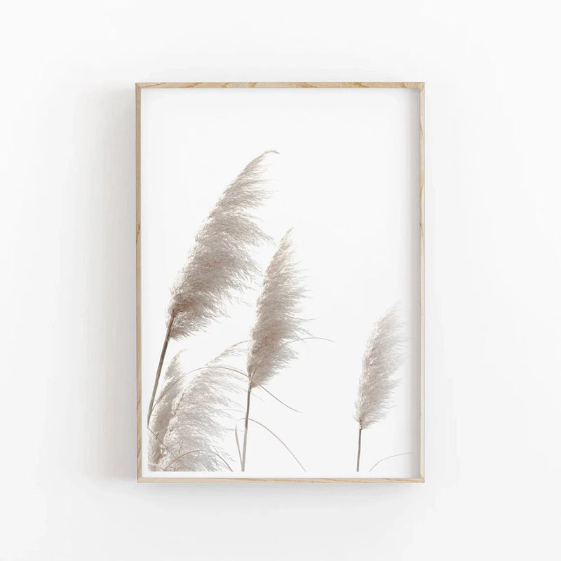 Pampas Grass Botanical Art Poster Premium Quality Choose your Size Pampas Grass
