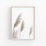 Pampas Grass Botanical Art Poster Premium Quality Choose your Size Pampas Grass