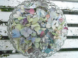Dried Hydrangea Petals, 10 Cups Wedding, Flower Girl, Confetti, Potpourri, Craft Hydrangea