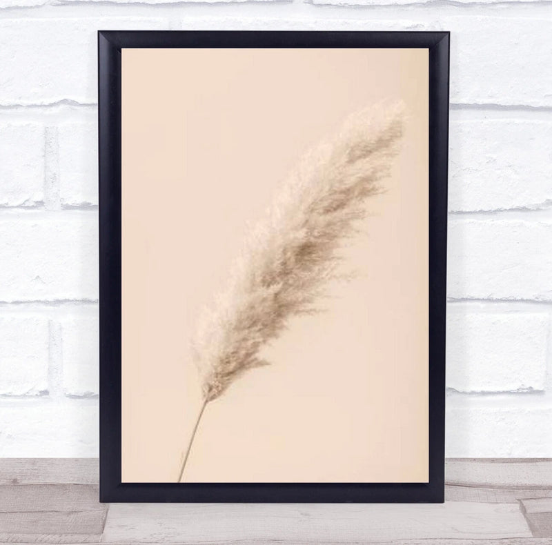 Pampas Grass Begie 14 Dried Botanical Studio Wall Art Print Pampas Grass