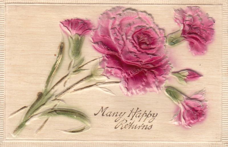 Very embossed carnation flowers fantasy greetings Raphael Tuck postcard Carnation